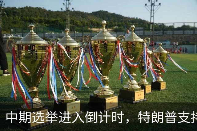 中期选举进入倒计时，特朗普支持率暴跌许下承诺，买单终究是民众