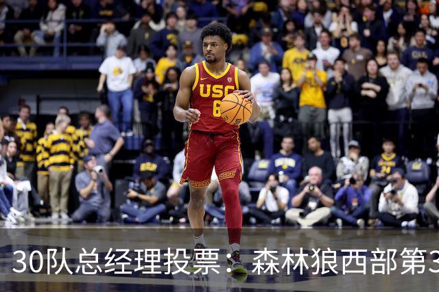 30队总经理投票：森林狼西部第3，却又被选为最难预测